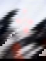 article-image