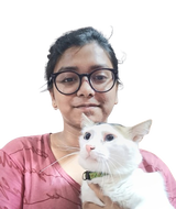 Essentiallysports author