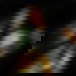 article-image