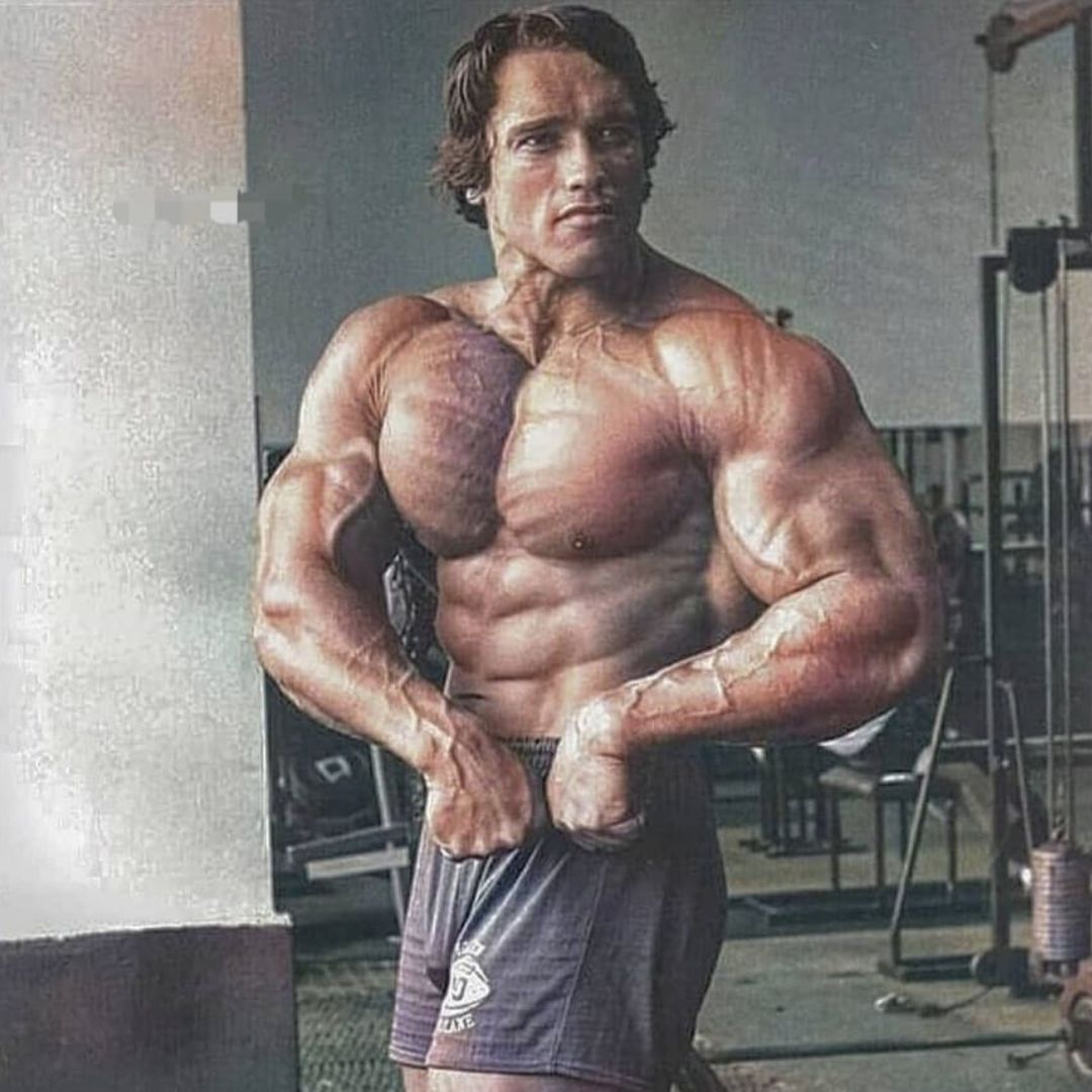 Arnold Schwarzenegger Peak Bulk Arnold Schwarzenegger Peak Bulk