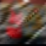 article-image