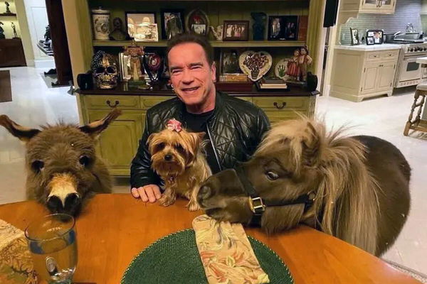 Arnold Schwarzenegger pets