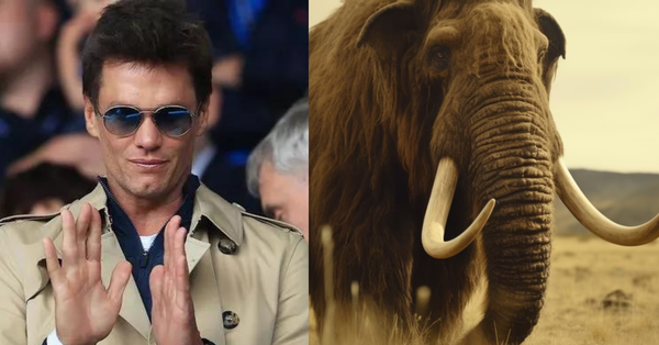 Tom Brady, Mammoth