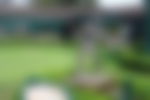 article-image