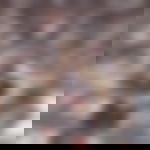 article-image