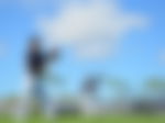 article-image