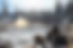 article-image