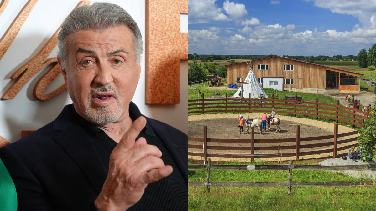 Despite a Whopping Price Tag of $21,300,000, Sylvester Stallone Faces ...