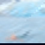 article-image