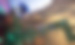 article-image