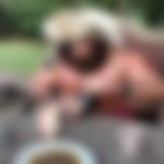 article-image