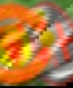 article-image