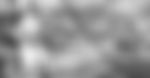 article-image
