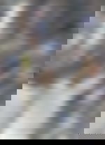 article-image