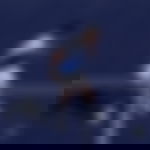 article-image