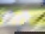 article-image