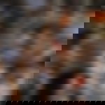 article-image