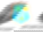 article-image