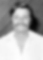 article-image