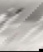 article-image