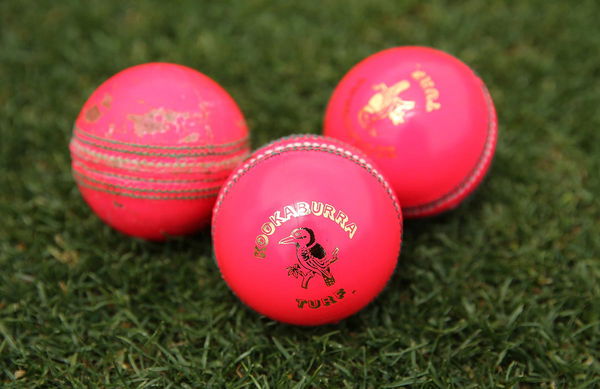 Pink Cricket Ball