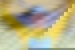 article-image