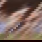 article-image