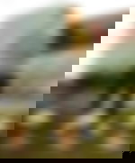 article-image