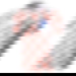 article-image