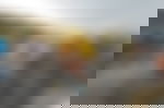 article-image