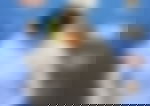 article-image