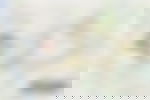 article-image