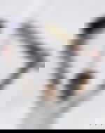 article-image