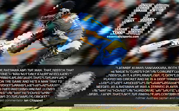article-image