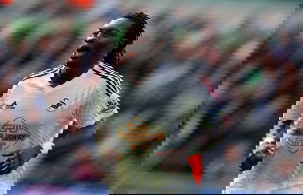 feature-image