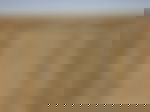 article-image