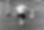 article-image