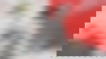 article-image