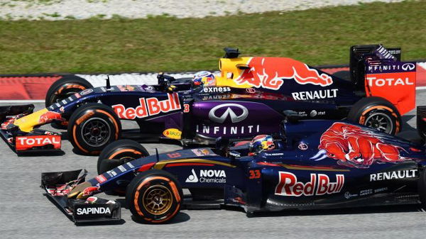 Red Bull and Torro Rosso