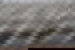 article-image