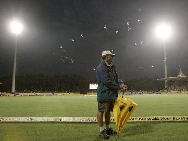 A flock of seagulls fly over Adelaide Oval after rain interrupted the first match of the Chappel-Hadlee one-day cricket series between Australia and New Zealand in Adelaide