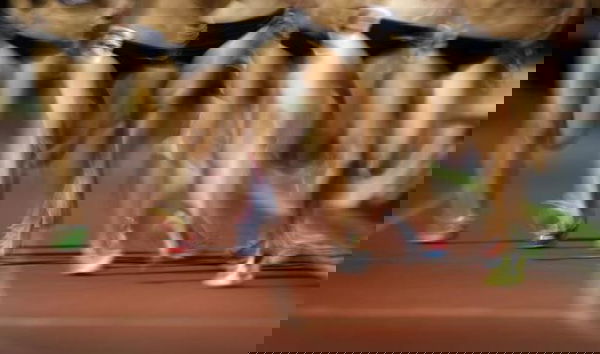 feature-image