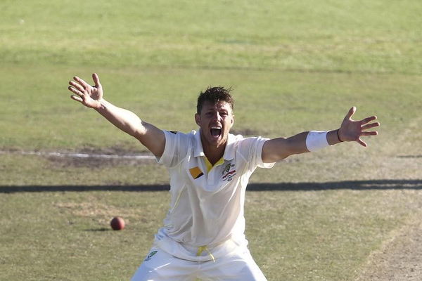 Australia&#8217;s James Pattinson appeals successfully for the wicket of Sotuh Africa&#8217;s Amla during the fourth day of the third cricket test match at Newlands Stadium in Cape Town