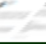 article-image