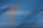 article-image