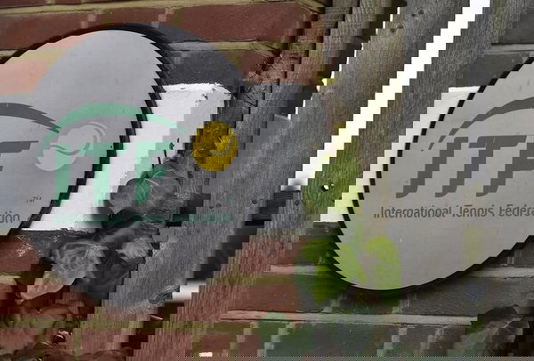 feature-image