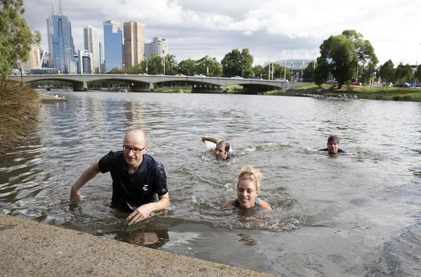 Handout photo shows Germany&#8217;s Kerber swimming in the Yarra river, a day after winning her women&#8217;s singles final match at the Australian Open tennis tournament at Melbourne Park