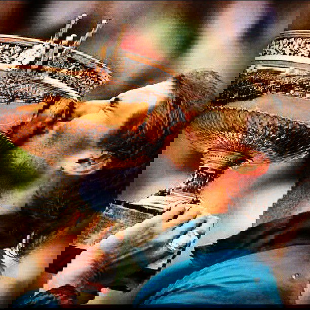 feature-image