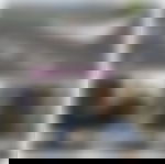 article-image