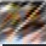 article-image